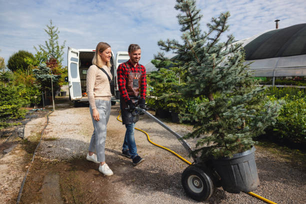 Humble, TX Tree Service Company